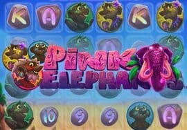Pink Elephants — играть онлайн на официальном сайте Азино