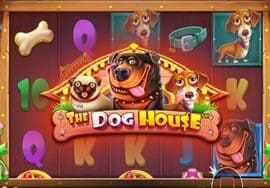 The Dog House — играть онлайн на официальном сайте Азино